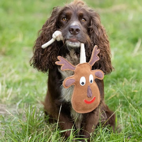 Benji & Flo Reindeer Christmas Dog Toy