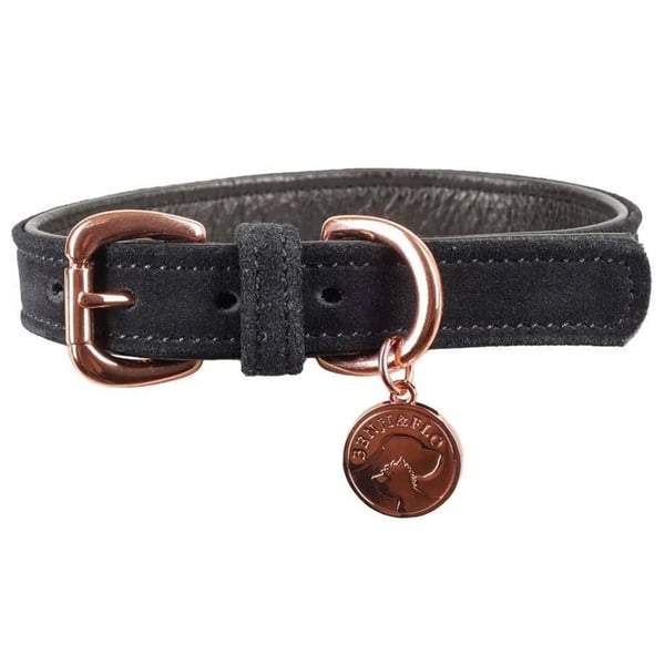 Benji & Flo Noble Mockahalsband för hund