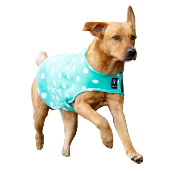 Supreme Products Dotty Fleece Dog Coat