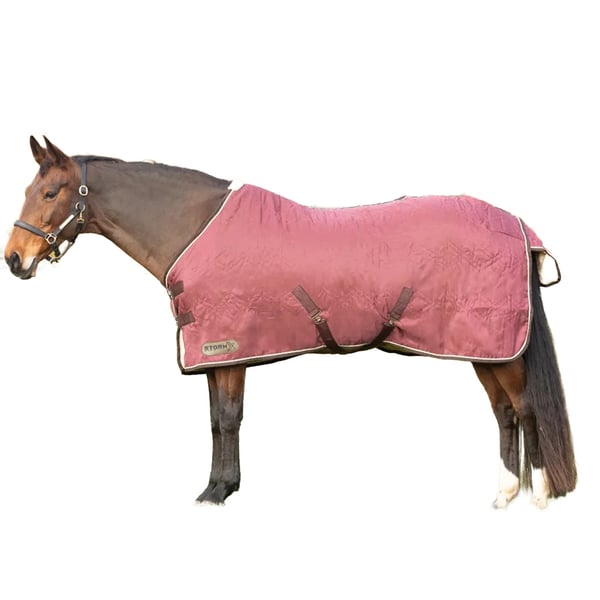 StormX Empra Standard-Neck Horse Show Rug