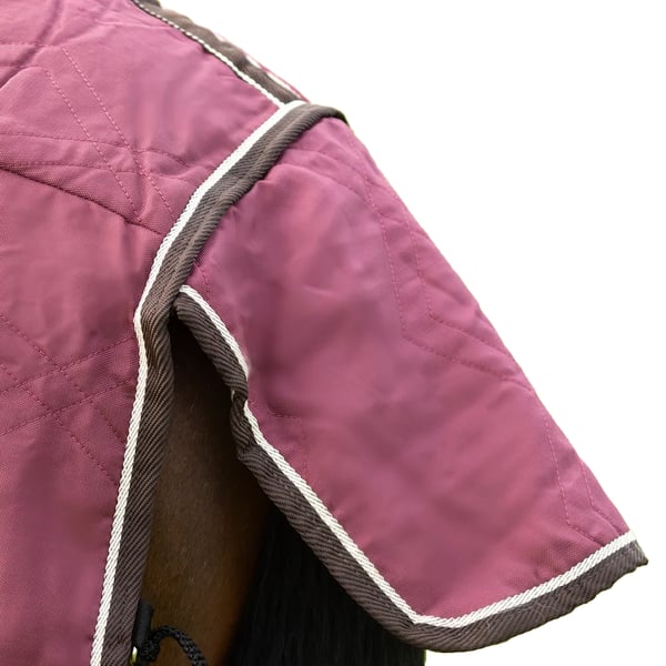 StormX Empra Standard-Neck Horse Show Rug