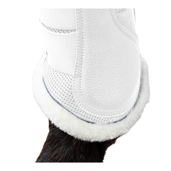 Coldstream Gordon C-Flex Air Flow Horse Brushing Boots