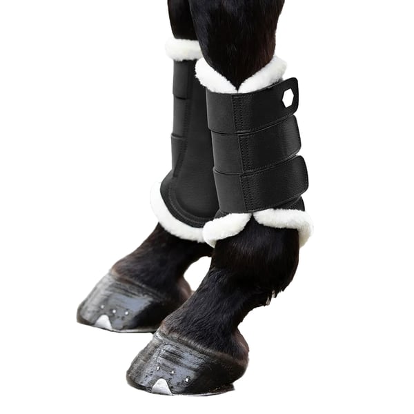 Coldstream Gordon C-Flex Air Flow Horse Brushing Boots