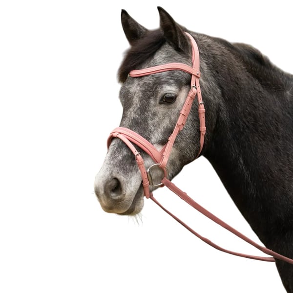 Little Rider Serena Leather Horse Bridle
