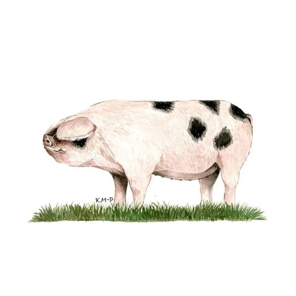 Kevin Milner Gloucestershire Old Spot Greetings Card