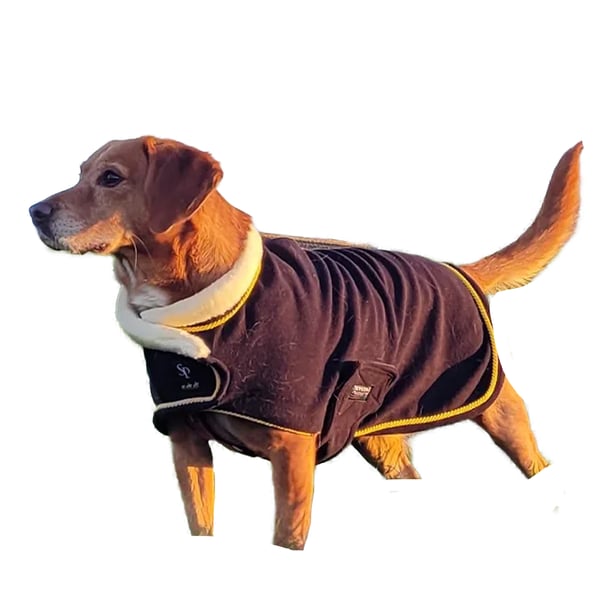 Supreme Products Royal Occasion Dog Coat