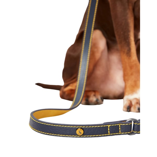 Rosewood Joules Leather Dog Lead