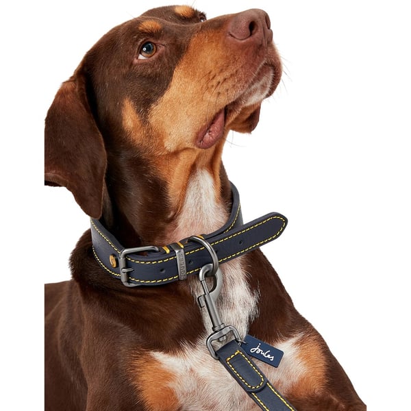 Rosewood Joules Leather Dog Lead