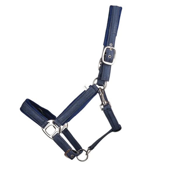 Hy Mermaid Shimmer Horse Headcollar and Leadrope