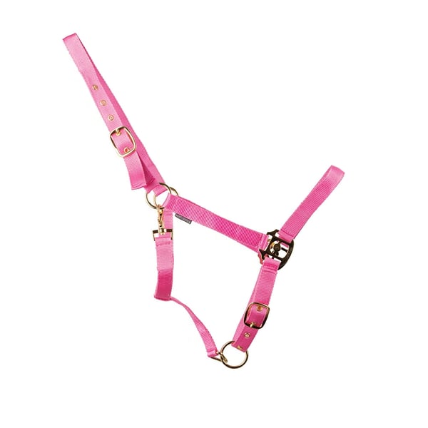HYCONIC Horse Headcollar