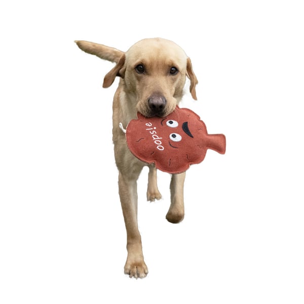 Benji & Flo Crazy Faces Oopsie Whoopsie Suede Dog Toy