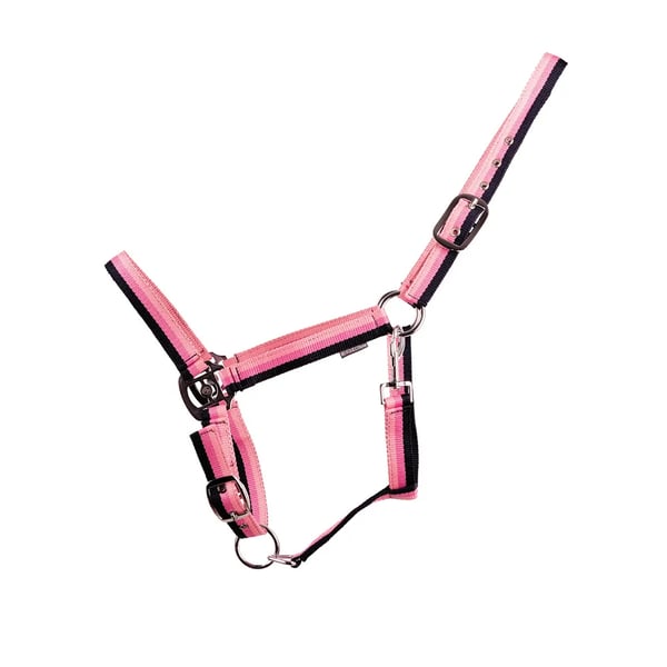 Hy Trinity Grimma