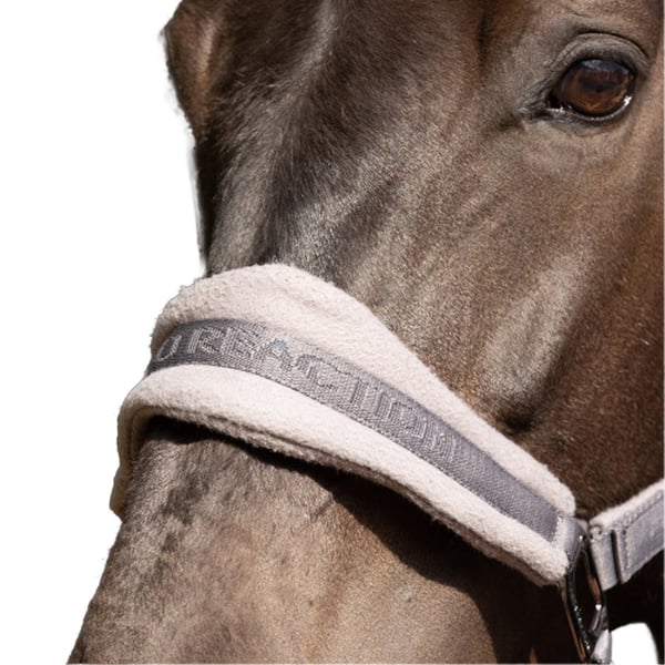 Hy ProReaction Horse Headcollar
