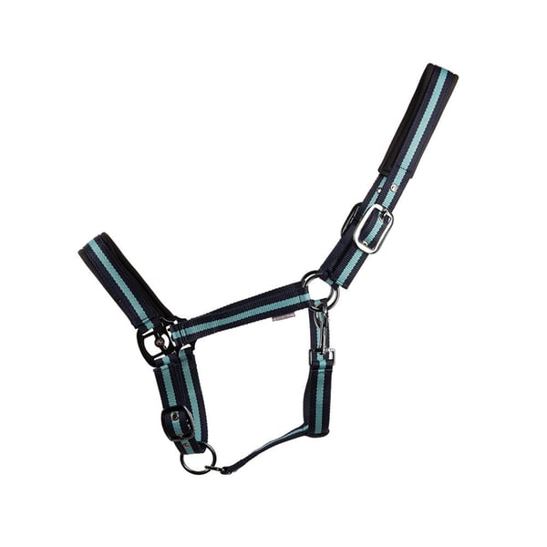 Hy Ink Horse Headcollar