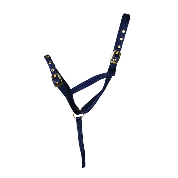 Hy Slip Lead And Halter