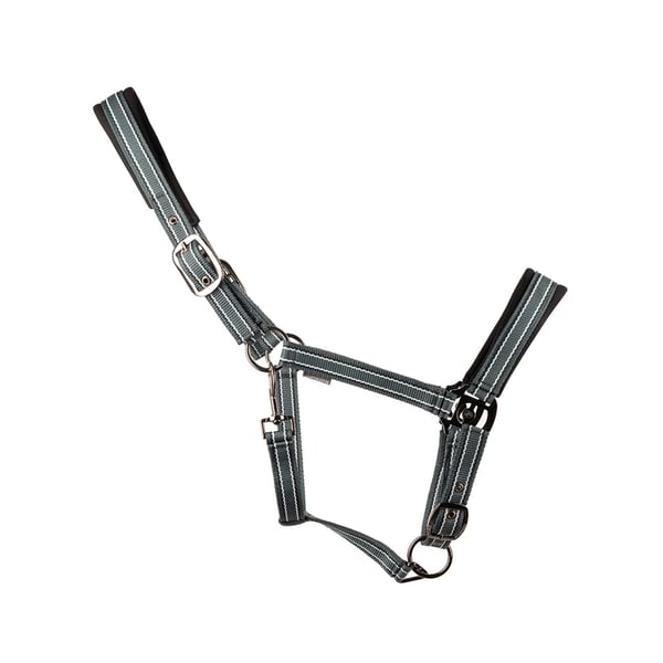 Hy Vertiga Horse Headcollar