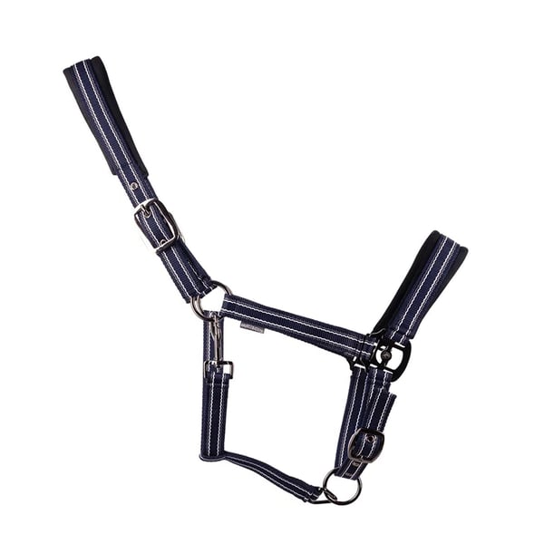 Hy Vertiga Horse Headcollar