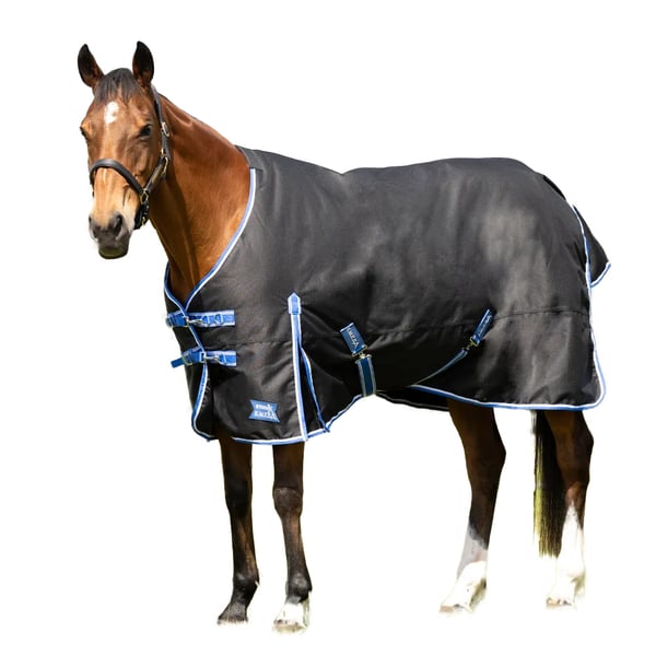 Hy StormX Empra Extra Standard-Neck 100g Horse Turnout Rug