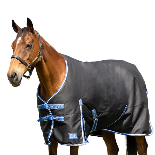 Hy StormX Empra Extra Standard-Neck 100g Horse Turnout Rug