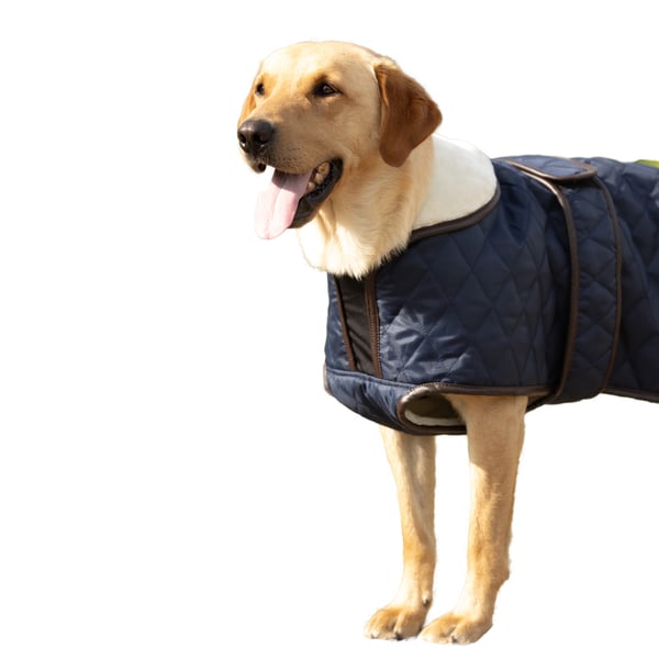 Benji & Flo Quilted Teddy Fleece Dog Coat