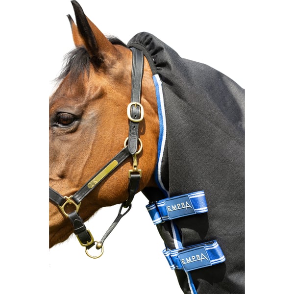 StormX Empra Extra Detachable Neck Horse Turnout Rug