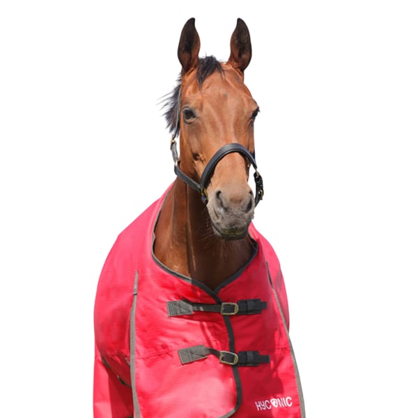 HYCONIC Standard-Neck 200g hevosen ulkoloimi