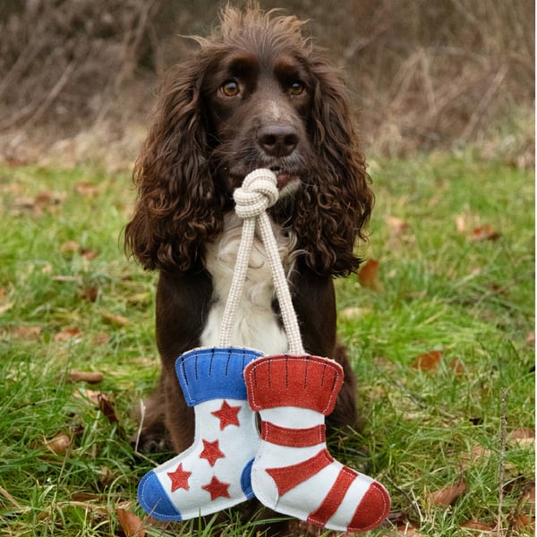 Benji & Flo Socks Suede Rope Dog Toy