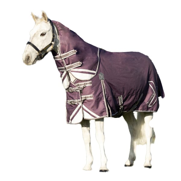 Hy DefenceX Shield Combo Neck 300g Horse Turnout Rug