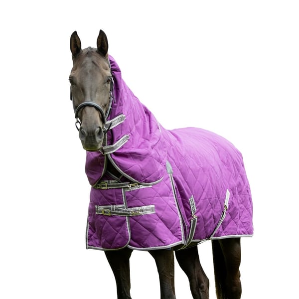 Hy DefenceX Shield Combo Neck Detachable Neck 100g Horse Stable Rug