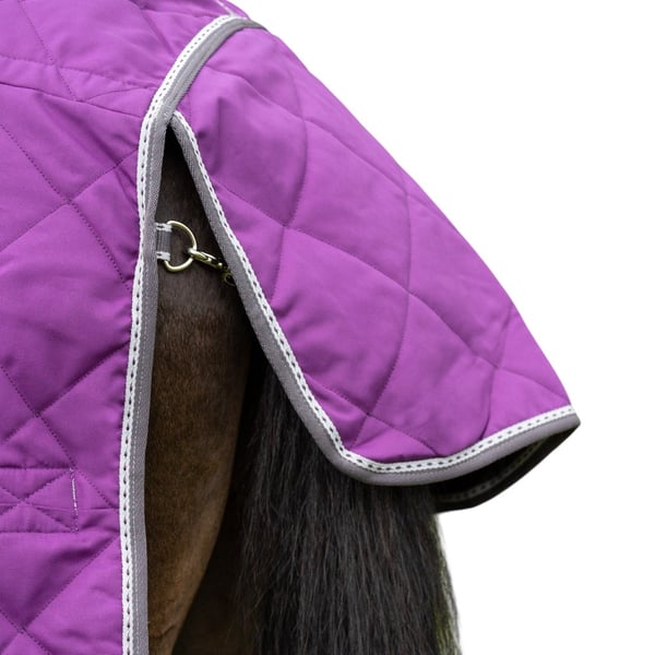 Hy DefenceX Shield Combo Neck Detachable Neck 100g Horse Stable Rug