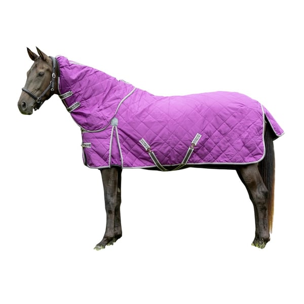 Hy DefenceX Shield Combo Neck Detachable Neck 100g Horse Stable Rug