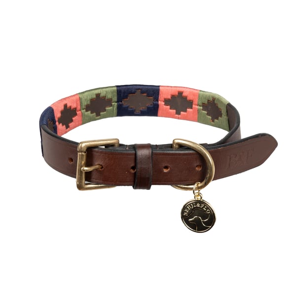 Benji & Flo Sublime Polo Leather Dog Collar