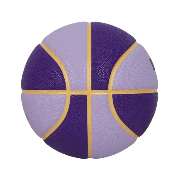Nike All Court 2.0 Lebron James Basketball