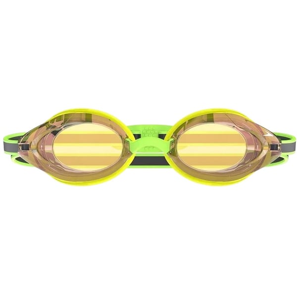 Speedo Unisex Adult Vanquisher 3.0 Mirrored Swimming Goggles