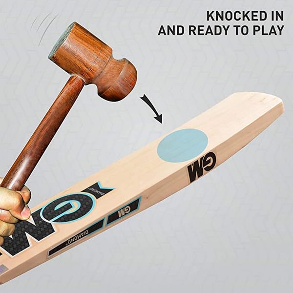 Gunn And Moore Diamond 202 cricketbat