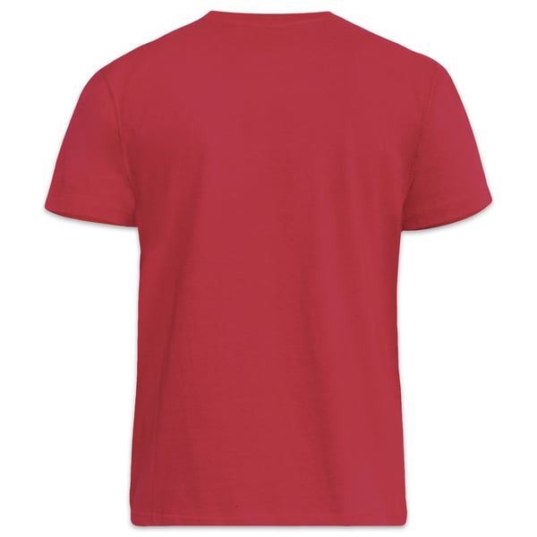 Duke Mens D555 Flyers 2 Kingsize T-Shirt