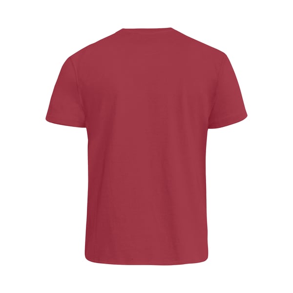 Duke Mens D555 Signature Kingsize T-Shirt