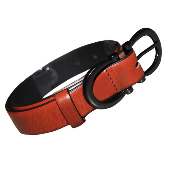 Eastern Counties Leather Bælte med spænde til kvinder/damer
