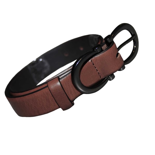 Eastern Counties Leather Bælte med spænde til kvinder/damer