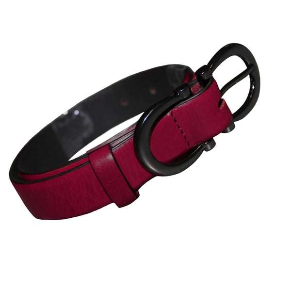 Eastern Counties Leather Bælte med spænde til kvinder/damer