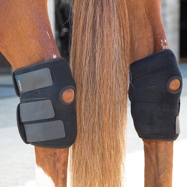 ARMA Hot/cold Horse Relief Boots (Pack of 2)
