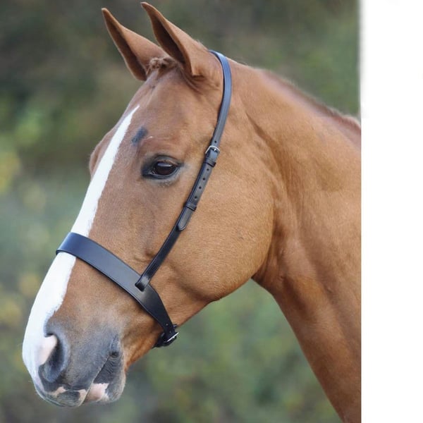 Velociti Hunter Leather Horse Cavesson Noseband