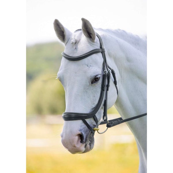 Velociti Ergonomic Leather Curved Horse Flash Bridle