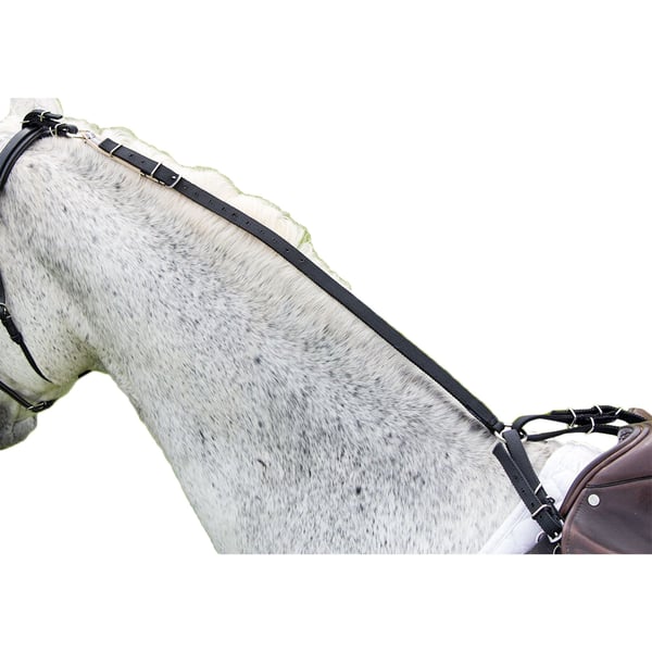 Shires Daisy Tygel