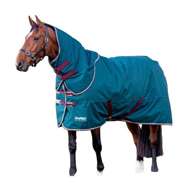 Tempest Original 200 Horse Turnout Rug & Neck Cover Set