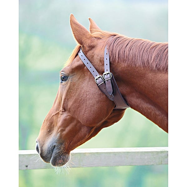 Shires Leather Anti-Crib Horse Collar