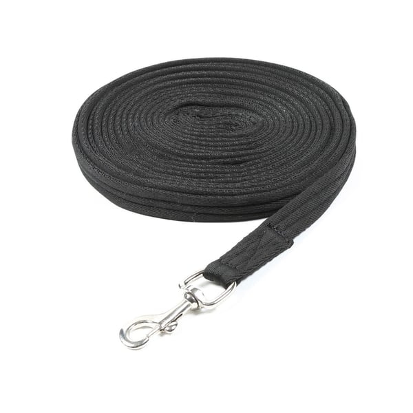 Wessex Web Horse Lunge Line