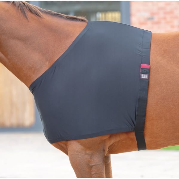 Shires Stretch Anti-Rub -hevospaita