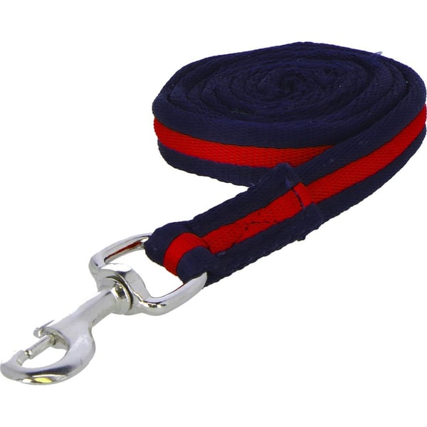 Wessex Web Horse Lead Rein