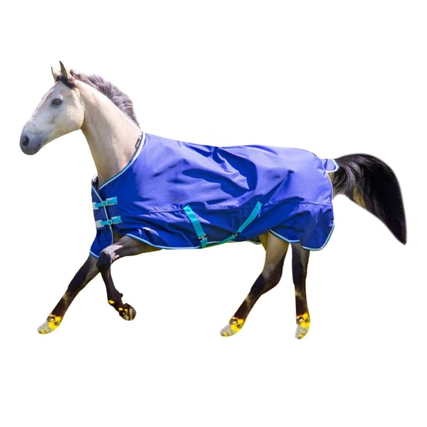 Tempest Original 100 Standard-Neck Horse Turnout Rug til heste